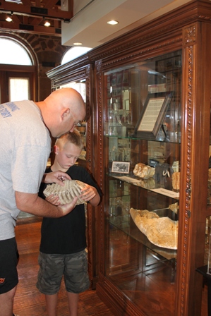 Man and boy looking at display piece in museum