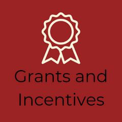 grants and incentives